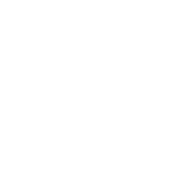 Большой опыт